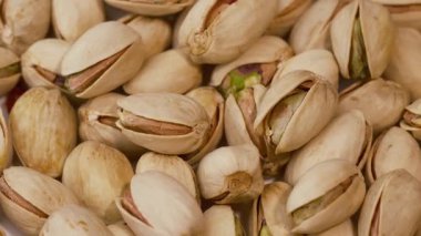 Shell 'deki fıstıklar. Yakın Çekim Görünümü