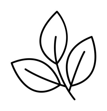 Bio, leaves, nature vector icon on transparent background. Outline Bio, leaves, nature vector icon.