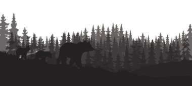 Kusursuz yatay vektör çizimi. Anne ayı ve küçük bir ayı ormanda yürüyor..