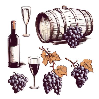 Vektör el retro tarzı üzüm ve bir şişe şarap ikonu eps10. Üzüm suyu ikonunun alkollü fermantasyonuyla elde edilen alkollü içecek.