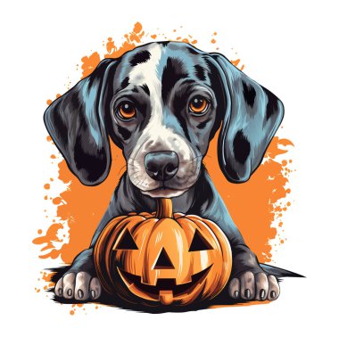 Şapkalı sevimli bir köpek. Köpekle cadılar bayramı balkabakları gülümsüyor. Beyaz arkaplanda suluboya vektör köpek ve kabaklar.