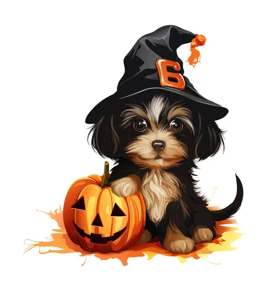 Şapkalı sevimli bir köpek. Köpekle cadılar bayramı balkabakları gülümsüyor. Beyaz arkaplanda suluboya vektör köpek ve kabaklar.