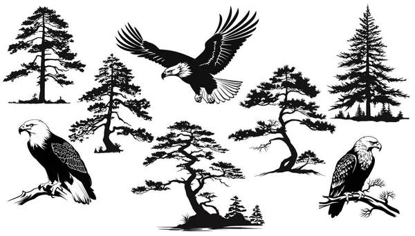 一套森林树木 鹰的轮廓 — 图库矢量图片#