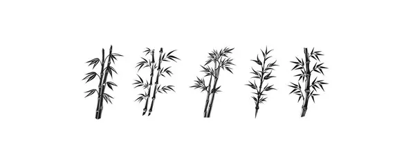 一套竹子剪影 热带和异国情调的植物和有叶子的树 亚洲野生动植物 黑色的叶子和枝条 在白色背景下孤立的卡通平面矢量集合 — 图库矢量图片