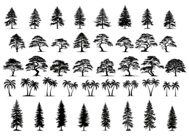 Beyaz arka planda izole edilmiş ağaç siluetleri koleksiyonu. Orman manzarası için fidanı olan büyük bir Vektör karikatürü. Düz biçimdeki ortam ögeleri.