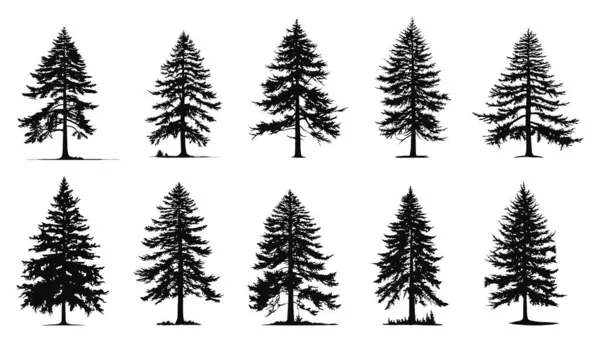 Kozalaklı Ağaç Siluetleri Yerleştirildi Çam Ağacı Köknar Ağacı Simgeleri Tasarımın — Stok Vektör