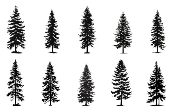 Set Vector Christmas Tree Silhouettes Traced Outline Detailed Silhouette Fir — Stock Vector