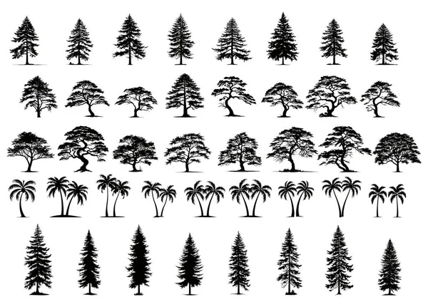 收集的树木轮廓在白色背景下被隔离 大病媒卡通集与树苗的森林景观 环境元素的扁平风格 — 图库矢量图片#