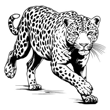 Leopar çizgilerine saldırın. Beyaz arka planda soyut vektör leoparı. ai oluşturulmuş illüstrasyon.