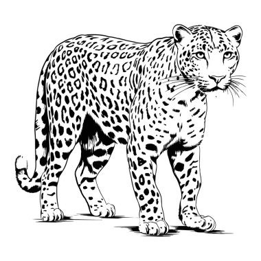 Leopar ayakta duran grafikler kuluçkadan çıkıyor. ai oluşturulmuş illüstrasyon.