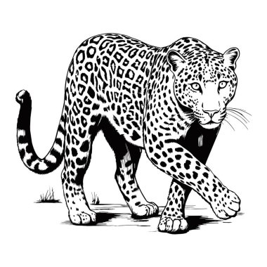 Leopar çizgilerine saldırın. Beyaz arka planda soyut vektör leoparı. ai oluşturulmuş illüstrasyon.