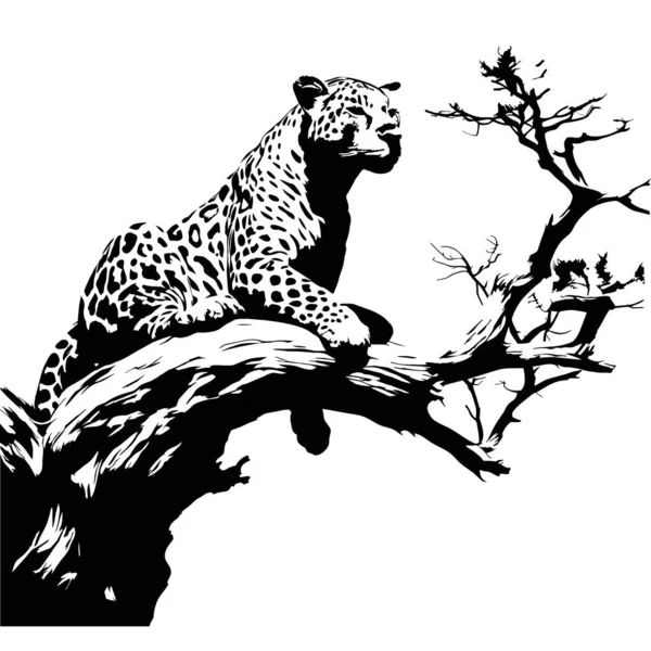 Schizzo Vettoriale Bianco Nero Del Leopardo Sdraiato Illustrazione Generata — Vettoriale Stock
