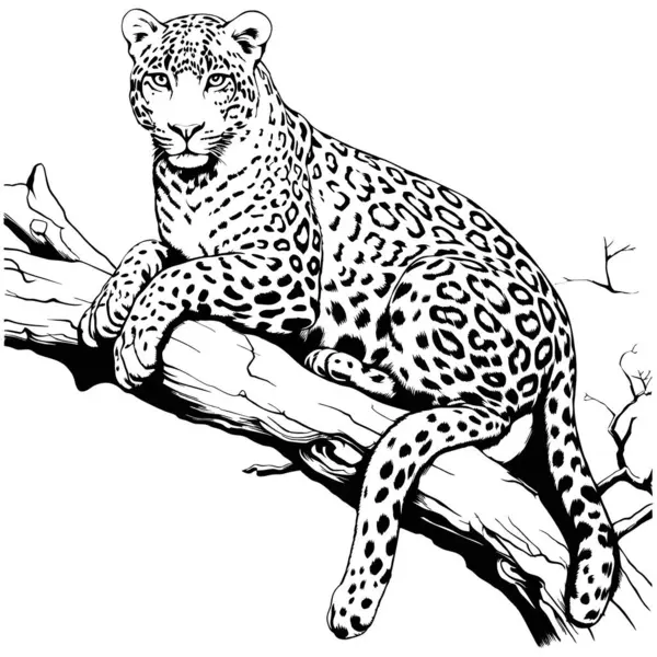 Leopardo Deitado Uma Árvore Ramo Arte Linha Gerado Ilustração — Vetor de Stock