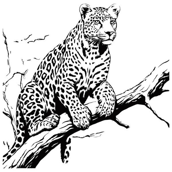 Leopard Βρίσκεται Ένα Κλαδί Δέντρο Γραμμή Τέχνης Παραγόμενη Απεικόνιση — Διανυσματικό Αρχείο