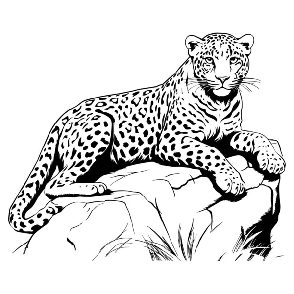 Leopardo Acostado Una Rama Piedra Arte Generada Ilustración — Vector de stock