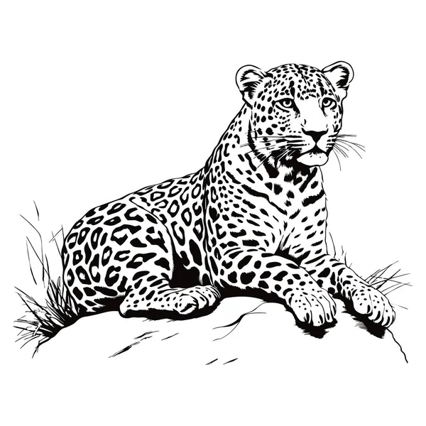 Leopard Auf Einem Steinernen Ast Liegend Generierte Illustration — Stockvektor