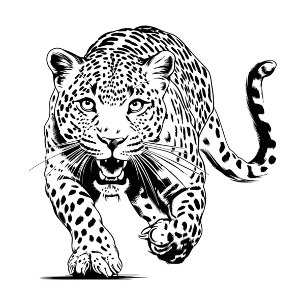 Leopar Çizgilerine Saldırın Beyaz Arka Planda Soyut Vektör Leoparı Oluşturulmuş — Stok Vektör