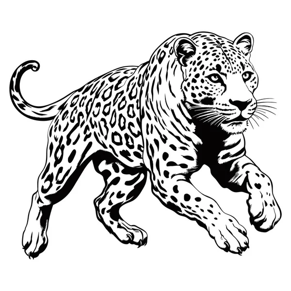 Attacco Leopardo Linee Illustrazione Leopardo Vettore Astratto Sullo Sfondo Bianco — Vettoriale Stock