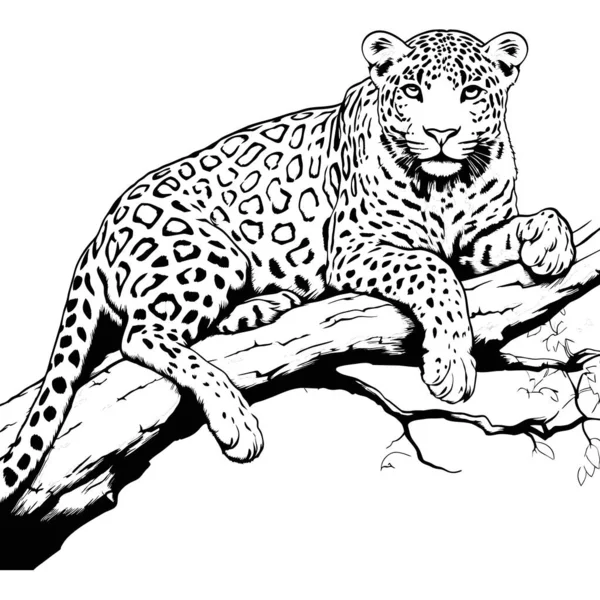 Леопард Лежить Гілці Дерева Мистецтва Лінії Ілюстрація Створена Ефірі — стоковий вектор