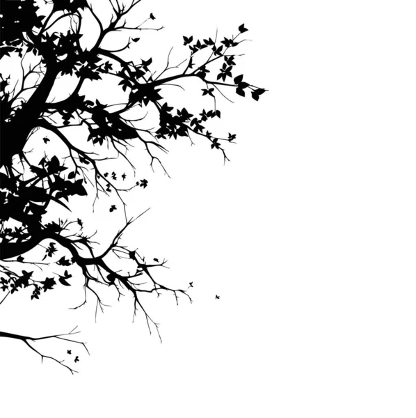 Силуэт Дерева Ветви Дерева Силуэт Ветвей — стоковый вектор