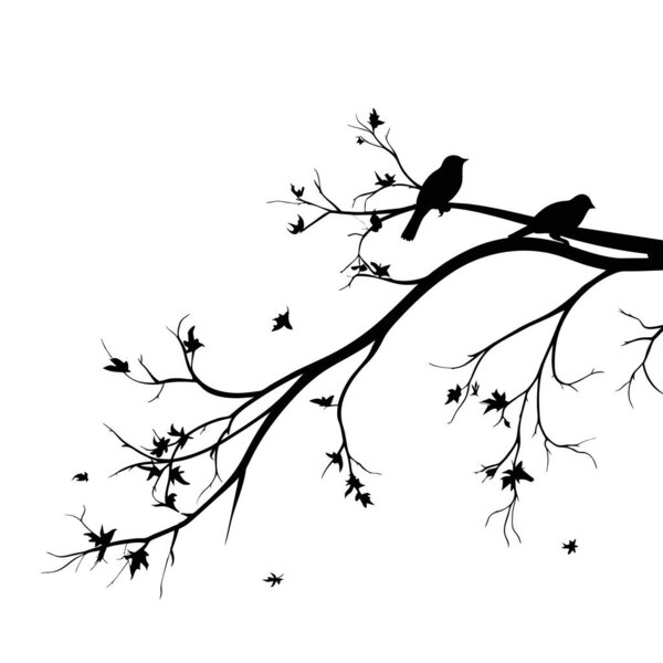 Birds silhouettes on branch, Vector. Birds couple silhouette on branch isolated on white background, illustration. Wall Decals, Wall Art Decoration. Wall artwork.