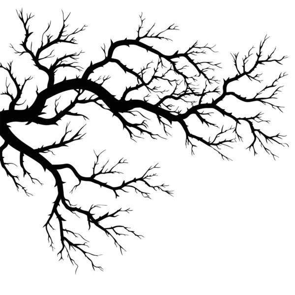 Ветви Осеннего Дерева Силуэт Опавших Ветвей Листьев Векторная Иллюстрация Изолирована — стоковый вектор