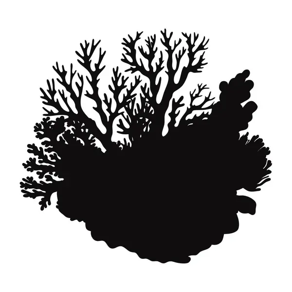 Handgezeichnete Korallen Und Algen Silhouette Isoliert Auf Weißem Hintergrund Vektorsymbole — Stockvektor