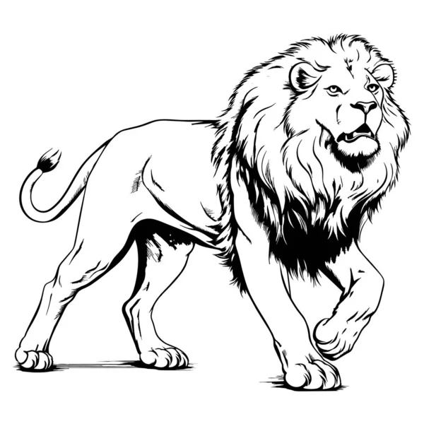 Peinture Pinceau Dessin Isolé Lion Illustration — Image vectorielle