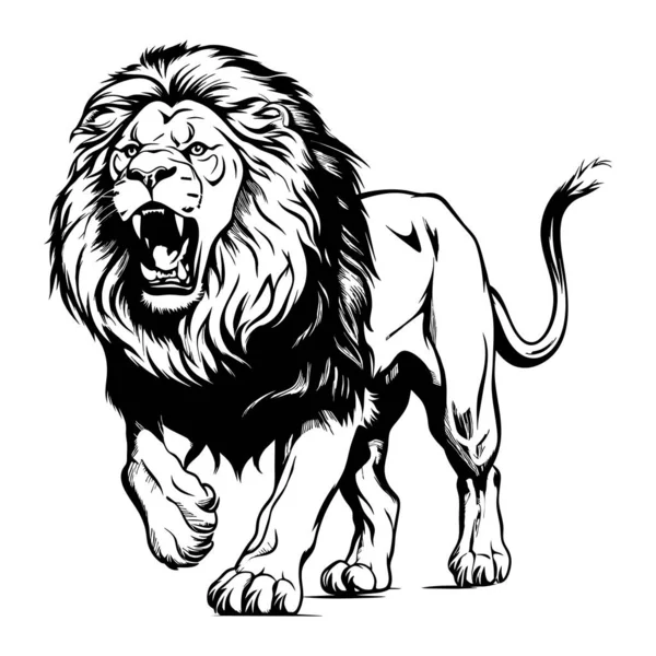 Klasik oyma yontulmuş aslan kral resimli mürekkep çizimi. Afrika vahşi kedi arka plan hayvan silueti sanatı. Siyah ve beyaz el çizilmiş vektör resmi.