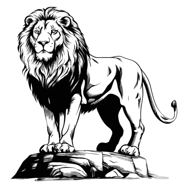 Pensel Målning Bläck Rita Isolerade Lion Illustration — Stock vektor
