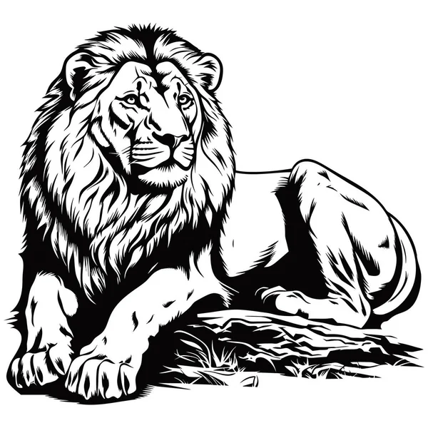 Pensel Målning Bläck Rita Isolerade Lion Illustration — Stock vektor