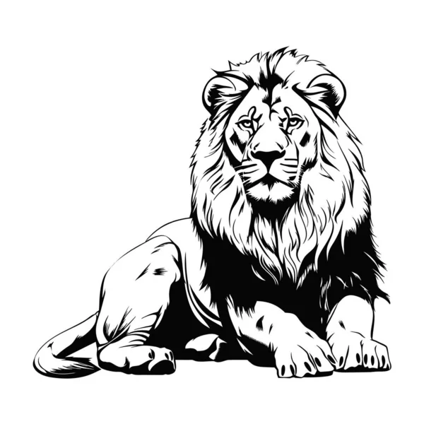 Βούρτσα Ζωγραφική Μελάνι Κλήρωση Απομονωμένες Λιοντάρι Εικονογράφηση — Διανυσματικό Αρχείο