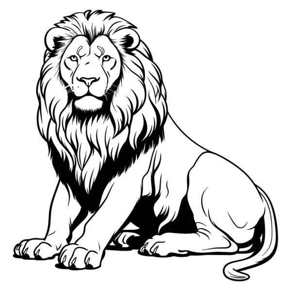 Gravura Vintage Isolado Leão Rei Conjunto Ilustração Tinta Esboço África —  Vetores de Stock