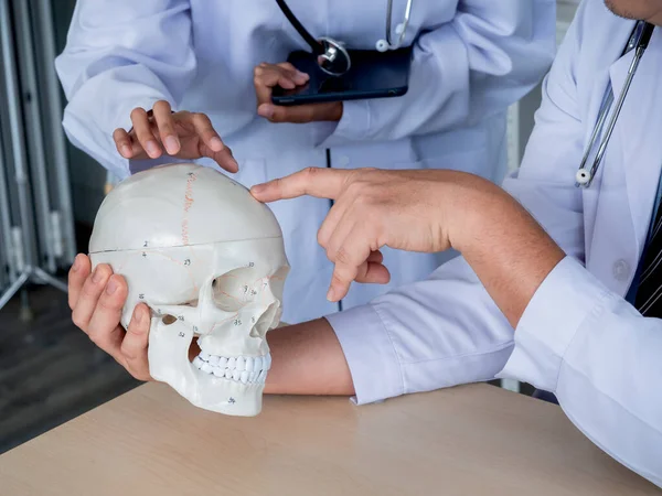 Two doctors in white uniforms talking, working together in medical office. Human skull model on desk in professional male doctor hand while provides knowledge and counseling to young female doctor.