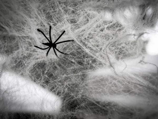 Close up artificial black spider on the white abstract messy web on black background. Halloween background concept.