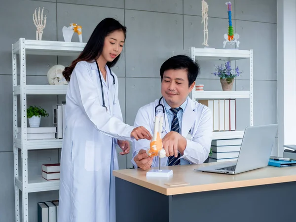 Two Asian doctors in white uniforms talking and working together in medical office. The adult male doctor counseling to young female doctor about the ligaments around the ankle, bone model on desk.