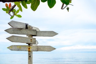 Empty space background on many old white blank wooden direction road signs under the tree on sea and sky background. Vintage signpost board, road sign panels on the beach.