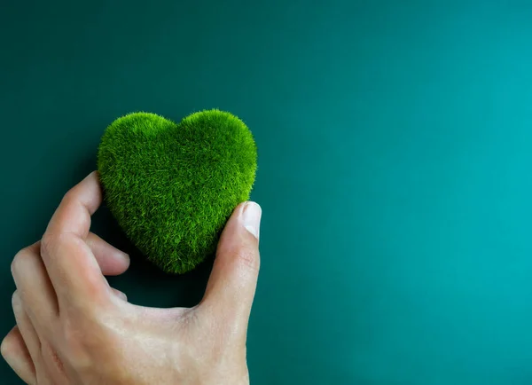 Green heart ball holding by hand oon blue with copy space. Green grass heart shape. Environment and sustainable planet protection, Eco-friendly, love nature, world care, and Happy Earth Day concept.