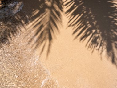 Sakin plaj sahnesi. Açık deniz suyu, yumuşak dalga ve hindistan cevizi palmiyesi yapraklarının gölgeleri güneşli bir günde fotokopi alanı ile temiz kumsalda uzanır. Yaz tatili geçmişi.