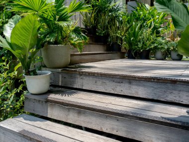 Tenceresinde yeşil yapraklar olan eski ahşap merdiven dekorasyonu. Yeşillik bahçe merdivenlerde. Ev bahçesi dekorasyonu.