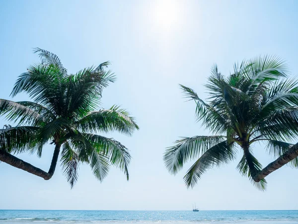 Jasne Tło Krajobrazu Morskiego Słoneczny Dzień Letnie Tło Podwójną Tropikalną — Zdjęcie stockowe