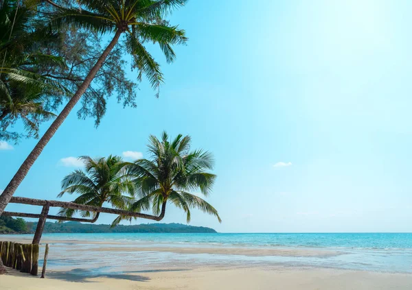 明媚的海景背景 阳光明媚 夏季背景 双热带棕榈树在沙滩上 蓝天背景在Koh Kood 复制空间 夏季概念 — 图库照片