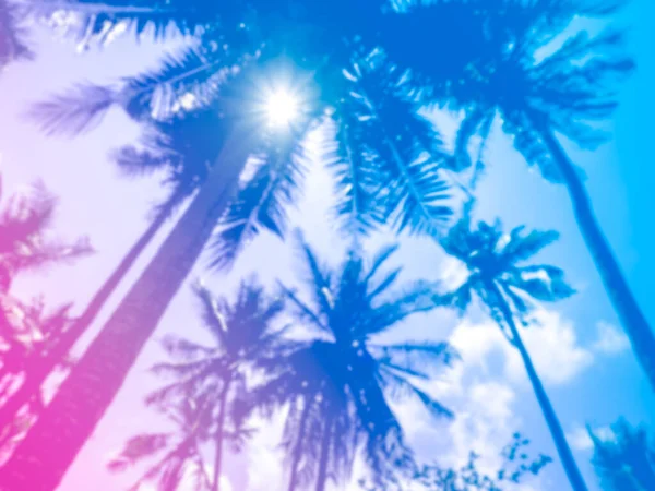 太陽の光 美しい熱帯青 紫とピンクのグラデーションの背景を持つ夏のカラフルな空のヤシの木 底からの眺め — ストック写真
