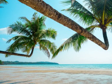 Güneşli bir günde parlak deniz manzarası. Koh Kood, Tayland 'da çifte tropikal palmiye ağacı olan yaz arkaplanı, güneşli bir günde açık mavi gökyüzü, yaz manzarası, tatil posterleri.