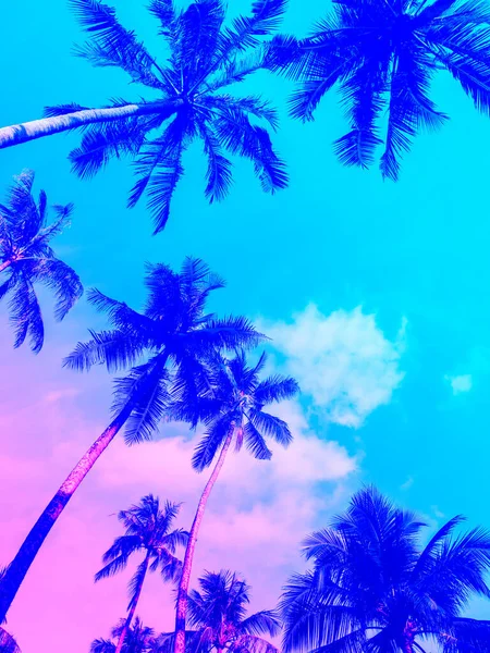 Palmy Kokosowe Letnim Kolorowym Niebie Przestrzenią Kopiowania Pionowym Stylu Piękna — Zdjęcie stockowe