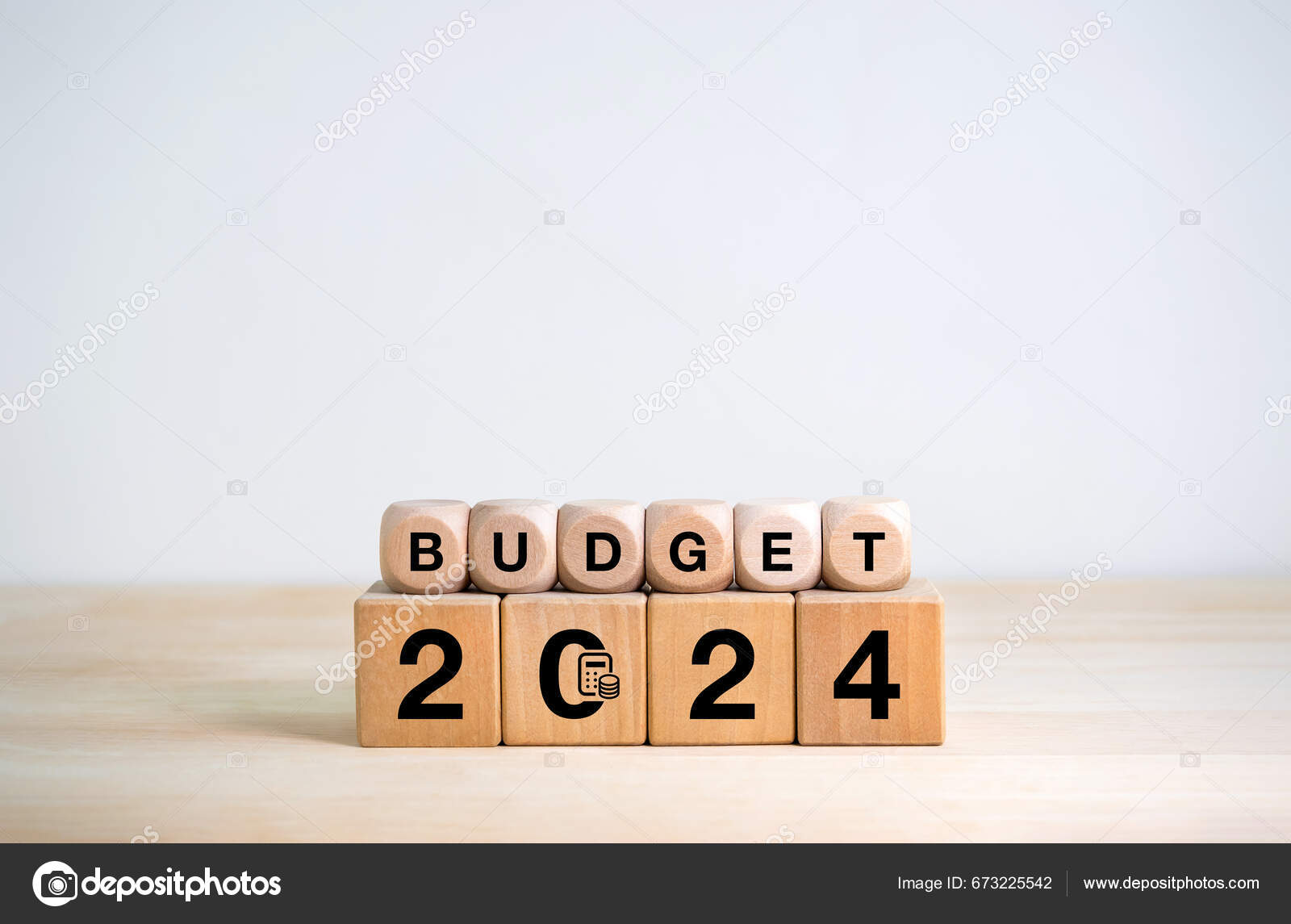 Year 2024 Budget Plan Concept Allocation Text Budget 2024 Financial