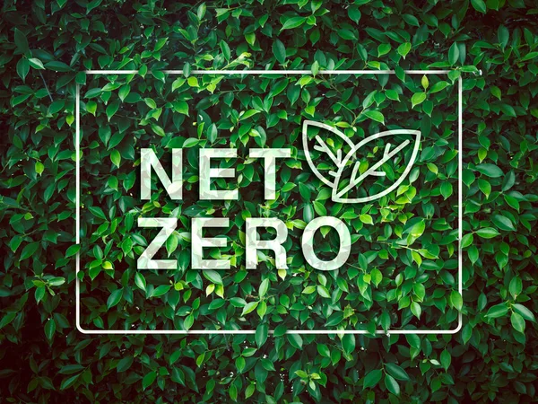 Net zero icon overlay on green leaves bush background with modern white frame surrounded. Reduce CO2 emissions, limit climate change, global warming and net zero carbon dioxide reduction concepts.