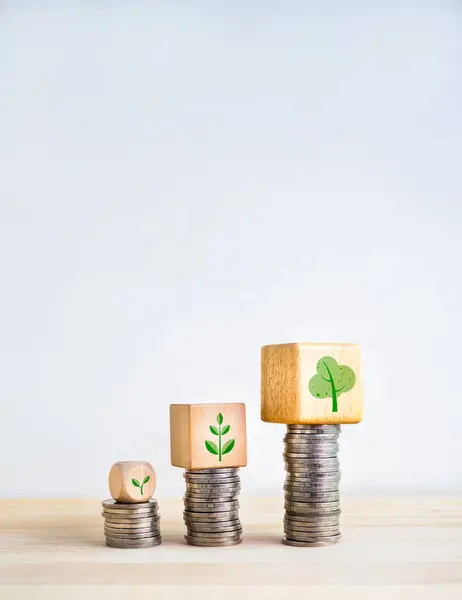 Green leaves symbol on growing wooden cube blocks with business coin stack as growth graph steps on white background, vertical. Investment, savings money, sales, increase income or profits concepts.