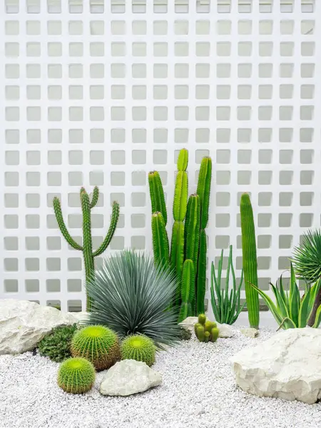Minimalist style of bright outdoor cactus garden. Variety green cactus and succulent plants, decoration with rocks, on white hollow block wall pattern background, vertical style, with copy space.