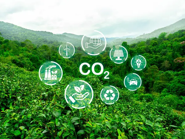 Green energy development, ecology environment, save the planet, climate change, sustainable concepts. Text, CO2 surrounded with renewable energy symbol on forest and green mountain view background.